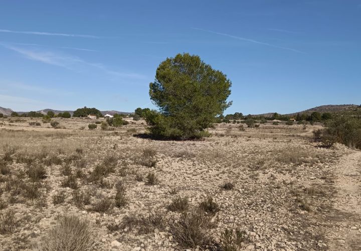 Helårsgrund i Salinas, Alicante, Salinas - € 54.999 | Ref: 67011-SS - foto 1