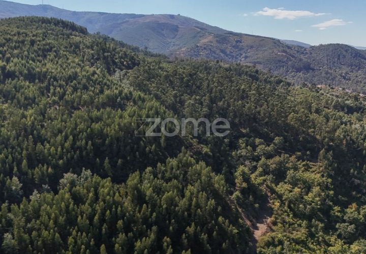 Tomt i Folques, Coimbra, Folques - € 49 900 | Ref: ZMPT581750 - foto 1