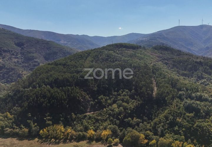 Terra a Folques, Coimbra, Folques - € 39.900 | Ref: ZMPT581750 - foto 1