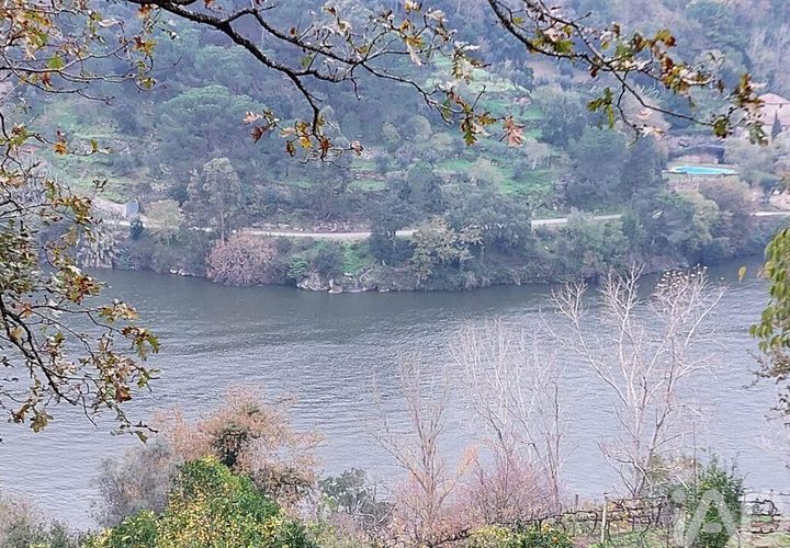 Terra a Cinfaes, Viseu, Cinfaes - € 279.000 | Ref: 754221 - foto 1