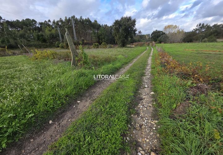 Helårsgrund i Aveiro, Aveiro, Aveiro - € 15.000 | Ref: VEN-4139 - foto 1