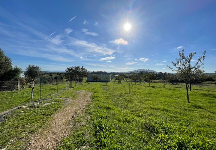 Helårsgrund i Moscari, Mallorca, Moscari - € 795.000 | Ref: 82897 - foto 1