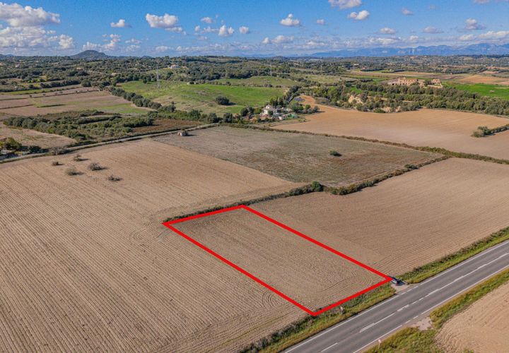 Terra a Petra, Mallorca, Petra - € 12.000 | Ref: 08MRSN004/10961 - foto 1