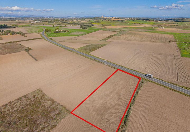 Tomt i Petra, Mallorca, Petra - € 14 000 | Ref: 08MRSN005/10961 - foto 1