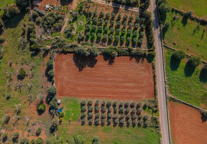 Tomt i Llubi, Mallorca, Llubi - € 23 000 | Ref: 08MRNT001/10961 - foto 1