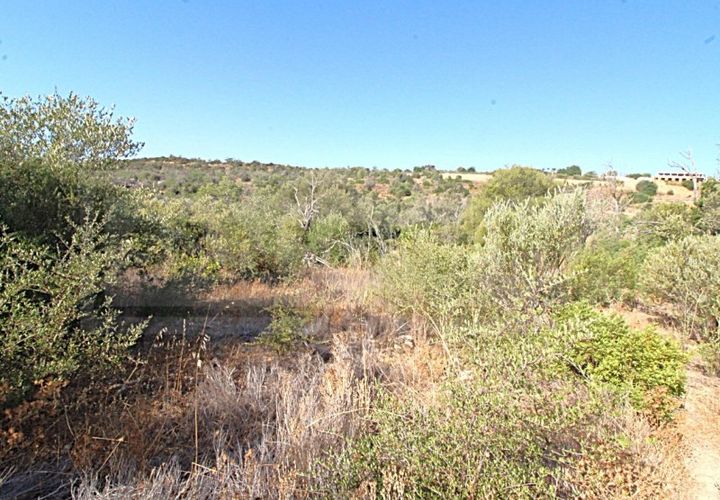 Terra a Paderne, Faro, Paderne - € 50.000 | Ref: STC2625 - foto 1