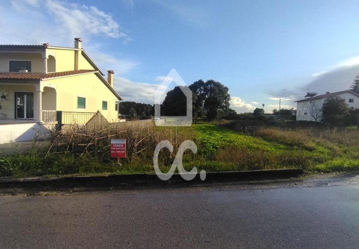 Terra a Monte Real, Leiria, Monte Real - € 45.000 | Ref: 235/T/01670 - foto 1