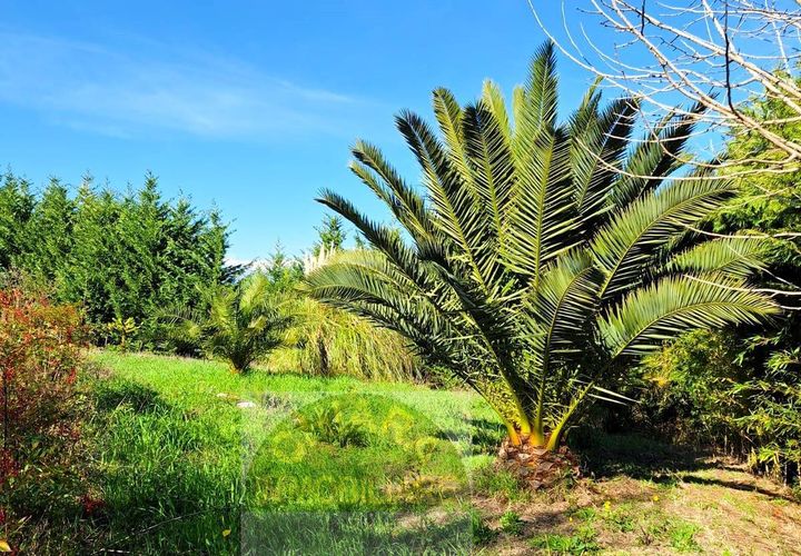 Helårsgrund i Cupello, Chieti, Cupello - € 55.000 | Ref: TA43 - foto 1