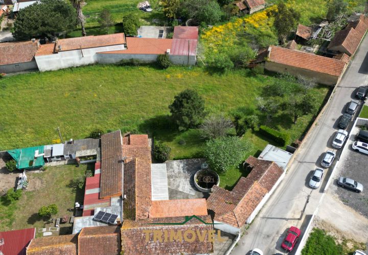 Helårsgrund i Estarreja, Aveiro, Estarreja - € 40.000 | Ref: TRI556-B - foto 1