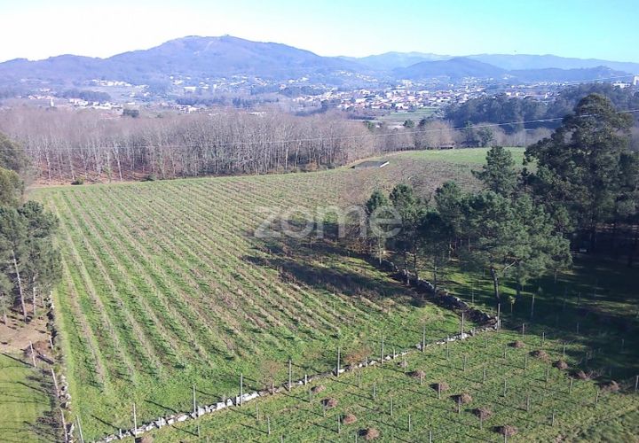 Helårsgrund i Amares, Braga, Amares - € 69.900 | Ref: ZMPT573451 - foto 1