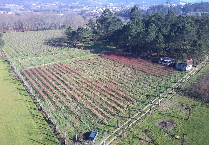 Grond in Amares, Braga, Amares - € 69.900 | Ref: ZMPT573451 - foto 1