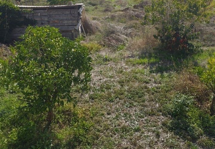 Terra a Bastelicaccia, Corse-du-Sud, Bastelicaccia - € 275.000 | Ref: 3011441943 - foto 1