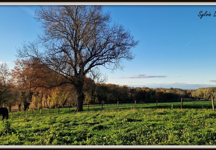 Farm i Biziat, Ain, Biziat - € 649.000 | Ref: 340934873815 - foto 1