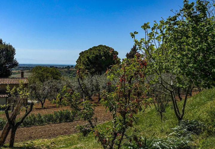 Helårsgrund i Casale Marittimo, Pisa, Casale Marittimo - € 130.000 | Ref: CS462 - foto 1