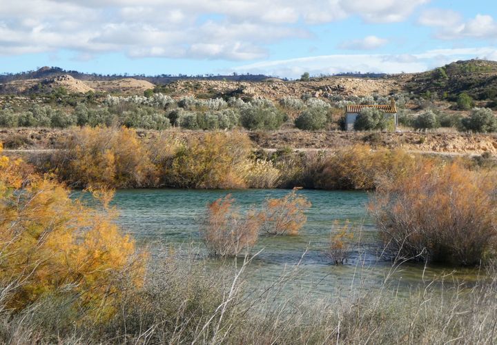 Finca i Fabara, Zaragoza, Fabara - € 29.000 | Ref: 1080 - foto 1