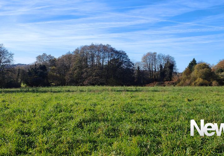 Helårsgrund i Sadroc, Correze, Sadroc - € 70.000 | Ref: PM-5265 - foto 1