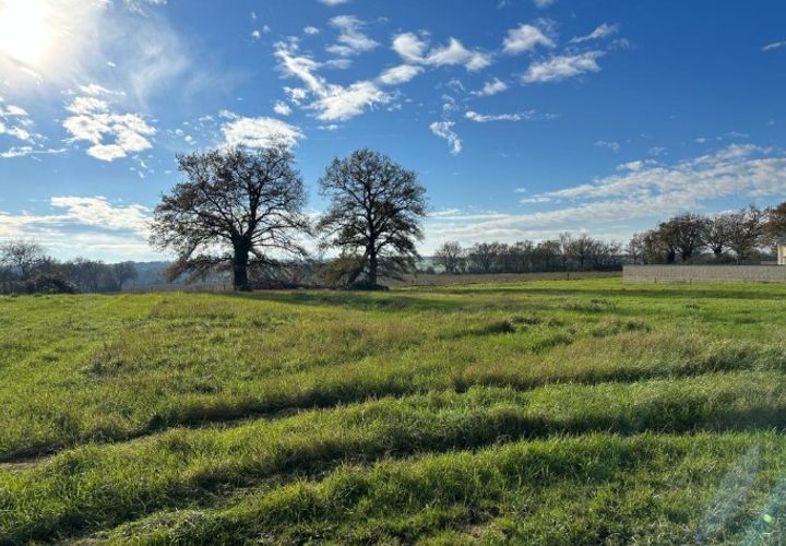 Terra a Reze, Loire-Atlantique, Reze - € 130.000 | Ref: XL-1101 - foto 1