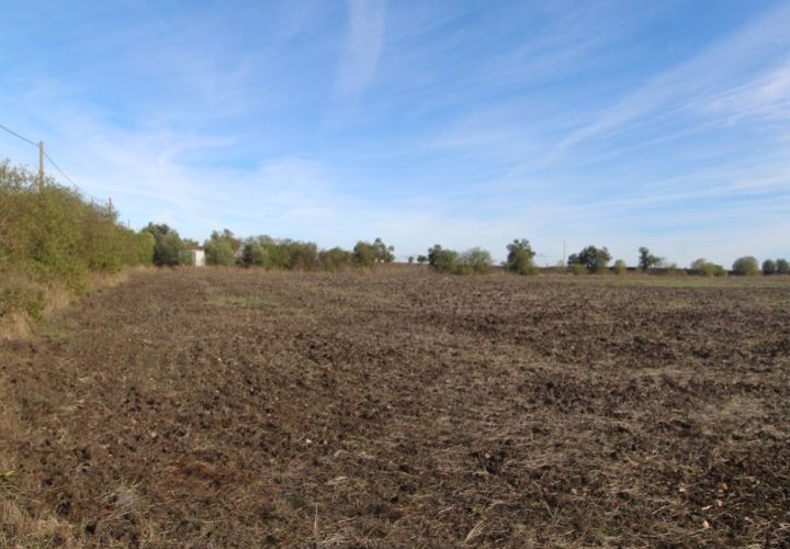 Farm i Beja, Beja, Beja - € 295.000 | Ref: 2087 - foto 1