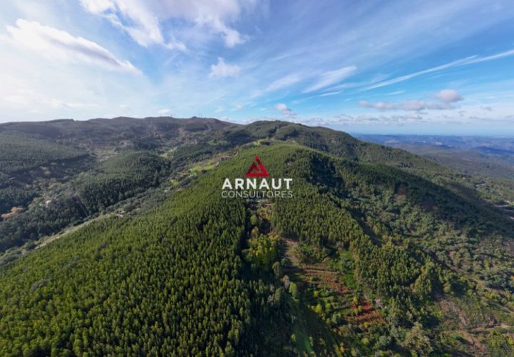 Helårsgrund i Monchique, Faro, Monchique - € 350.000 | Ref: ACA732 - foto 1