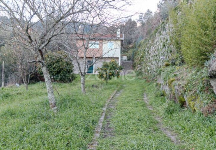 Farm i Cinfaes, Viseu, Cinfaes - € 299.000 | Ref: ZMPT583026 - foto 1