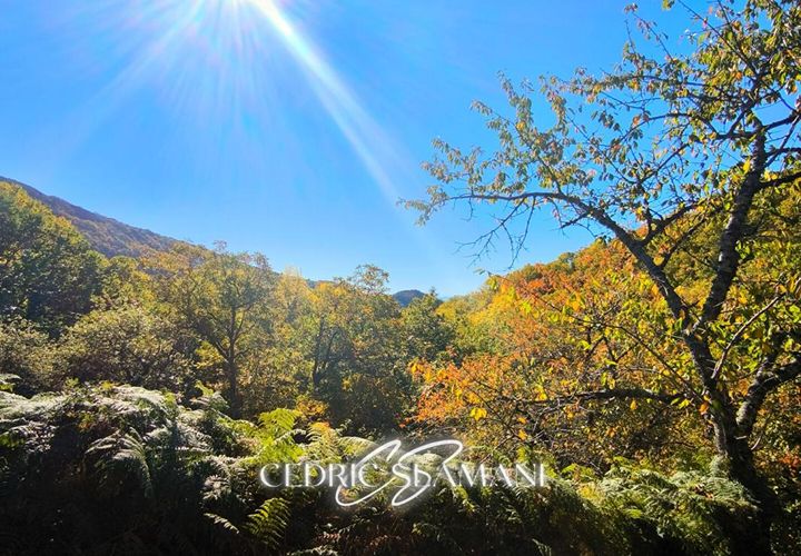 Terra a Castans, Aude, Castans - € 32.000 | Ref: 429740CSLA - foto 1