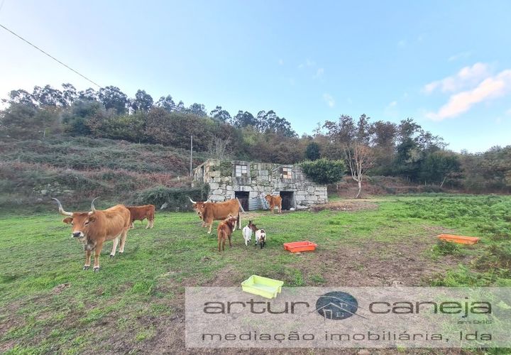 Farm i Arcos de Valdevez, Viana do Castelo, Arcos de Valdevez - € 155.000 | Ref: 7187 - foto 1