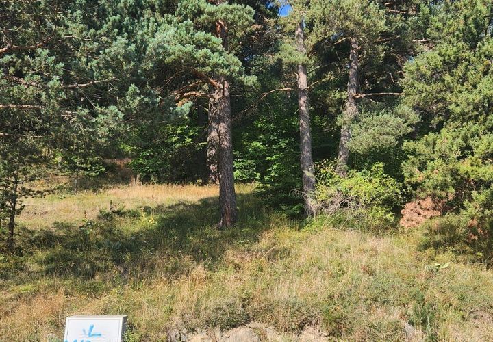 Terra a Alp, Gerona, Alp - € 110.000 | Ref: EXP12023/8930 - foto 1