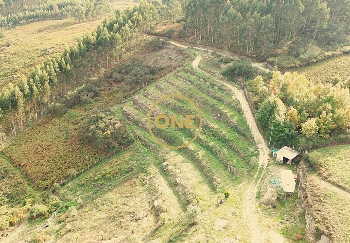 Helårsgrund i Ponte de Lima, Viana do Castelo, Ponte de Lima - € 100.000 | Ref: ONE0011365-57 - foto 1