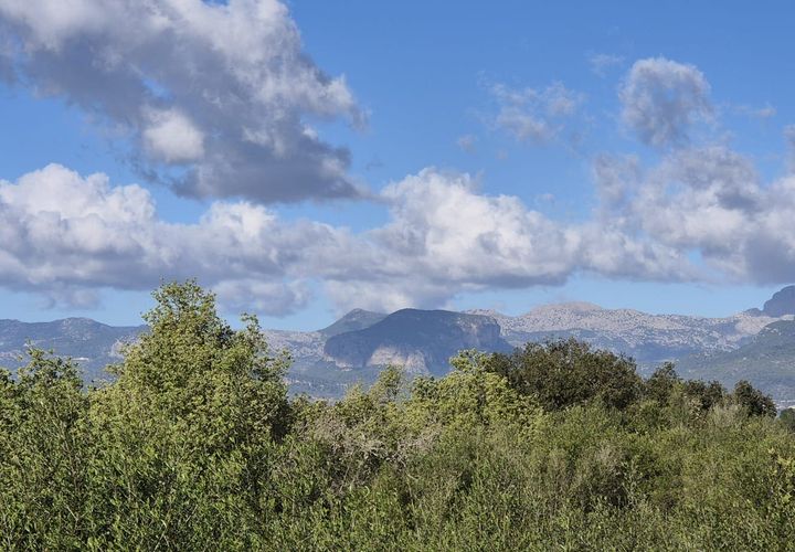 Terra a Costitx, Mallorca, Costitx - € 330.000 | Ref: 943 - foto 1