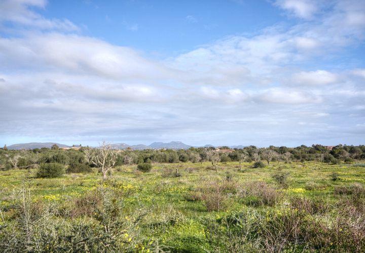 Helårsgrund i Cala Figuera, Mallorca, Cala Figuera - € 795.000 | Ref: 6045 - foto 1