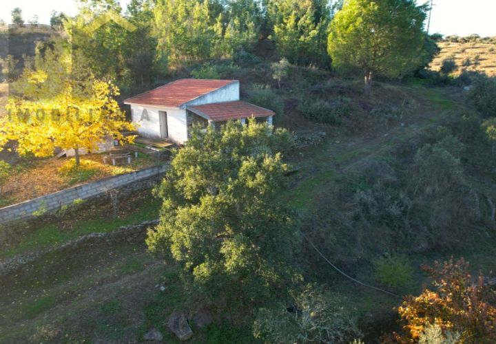Farm i Castelo Branco, Castelo Branco, Castelo Branco - € 87.500 | Ref: 4978 - foto 1