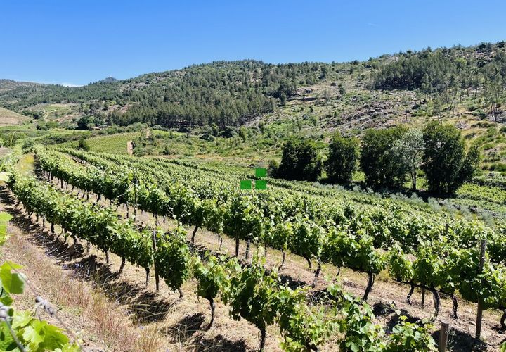 Landejendom i Alijo, Vila Real, Alijo - € 250.000 | Ref: 85968 - foto 1