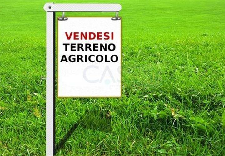 Helårsgrund i Ripatransone, Ascoli Piceno, Ripatransone - € 14.000 | Ref: 1181 - foto 1