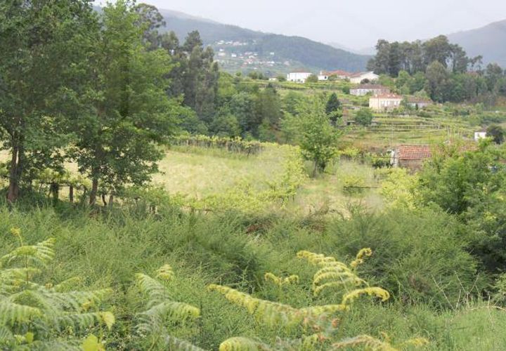 Grond in Melgaco, Viana do Castelo, Melgaco - € 218.000 | Ref: 00081 - foto 1