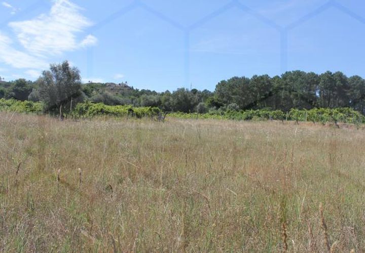 Grond in Moncao, Viana do Castelo, Moncao - € 25.000 | Ref: 00575 - foto 1