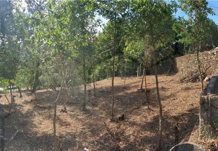 Helårsgrund i Melgaco, Viana do Castelo, Melgaco - € 20.000 | Ref: 01743 - foto 1