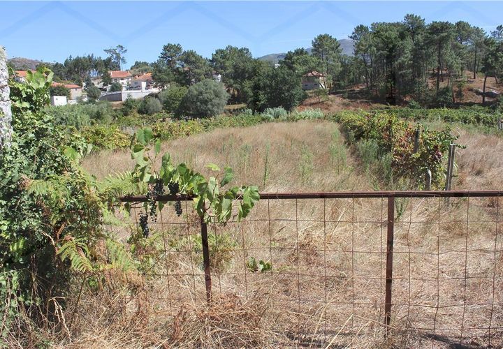 Grond in Cambeses, Viana do Castelo, Cambeses - € 7.500 | Ref: 01780 - foto 1