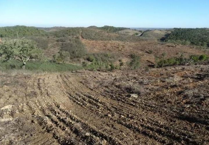 Terra em Ourique, Beja, Ourique - € 18.000 | Ref: KWPT-025071 - foto 1