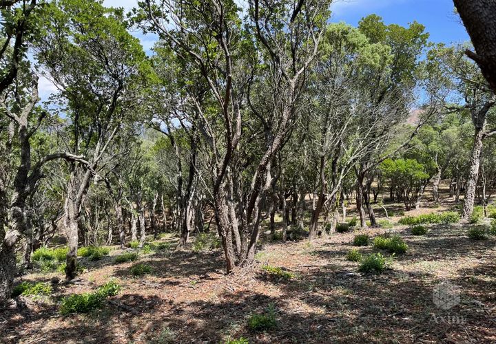Helårsgrund i Saint-Raphaël, Var, Saint-Raphaël - € 50.000 | Ref: 225 - foto 1