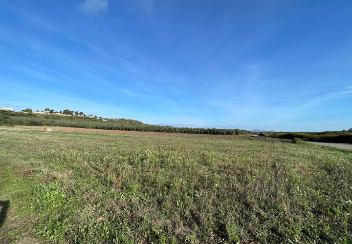 Terra a Muro, Mallorca, Muro - € 595.000 | Ref: 82811 - foto 1