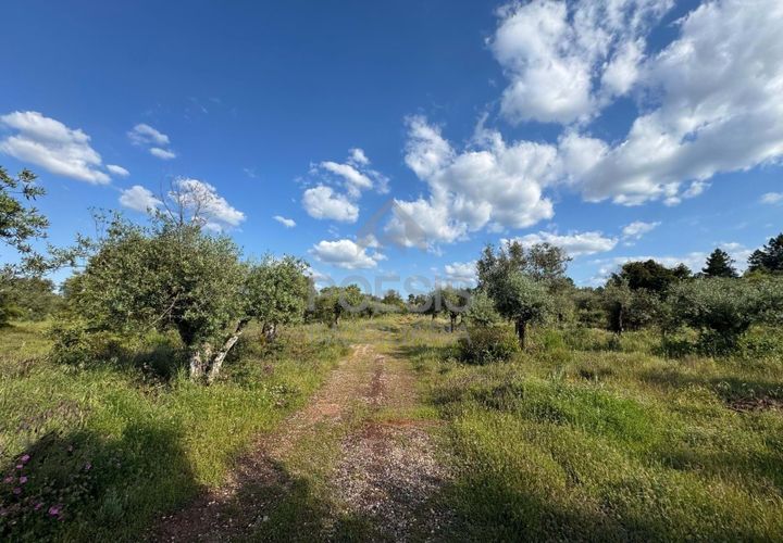 Helårsgrund i Borba, Evora, Borba - € 550.000 | Ref: 25.0006 - foto 1