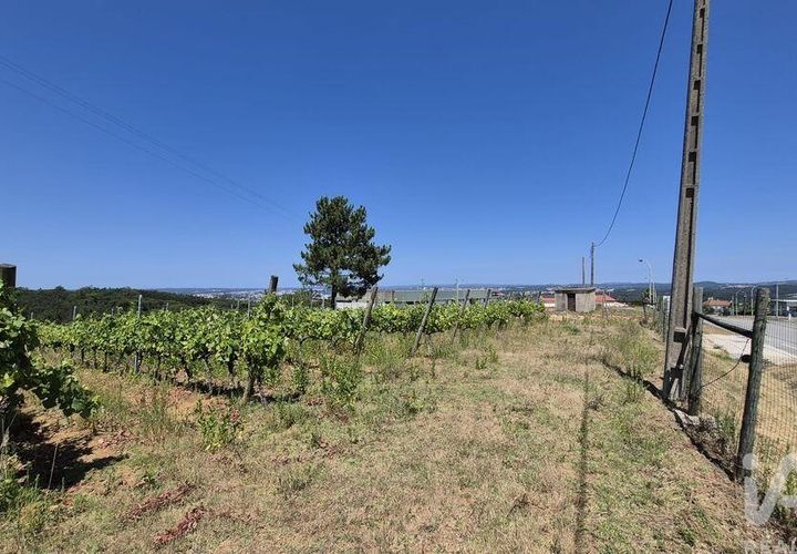 Terra a Leiria, Leiria, Leiria - € 188.000 | Ref: 145858 - foto 1