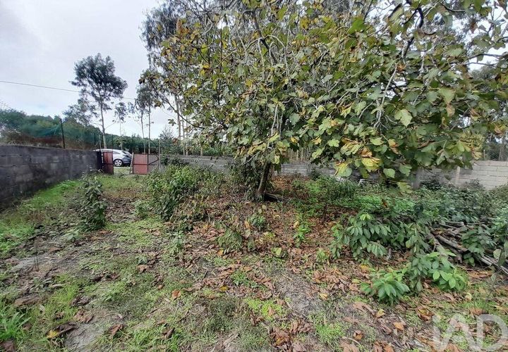 Helårsgrund i Cantanhede, Coimbra, Cantanhede - € 35.000 | Ref: 761609 - foto 1