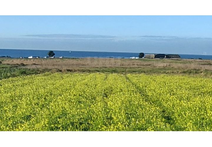 Helårsgrund i Areosa, Viana do Castelo, Areosa - € 110.000 | Ref: UNU-F3-72-19 - foto 1