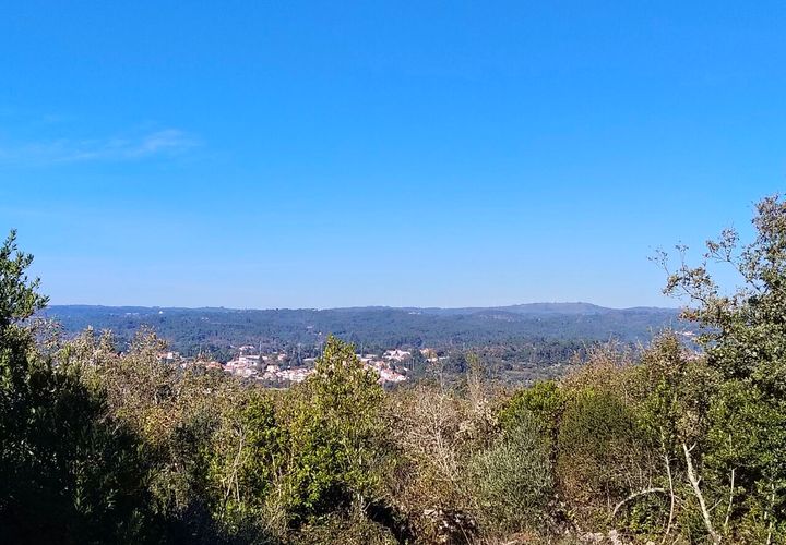 Helårsgrund i Ansiao, Leiria, Ansiao - € 31.300 | Ref: SF-8306 - foto 1