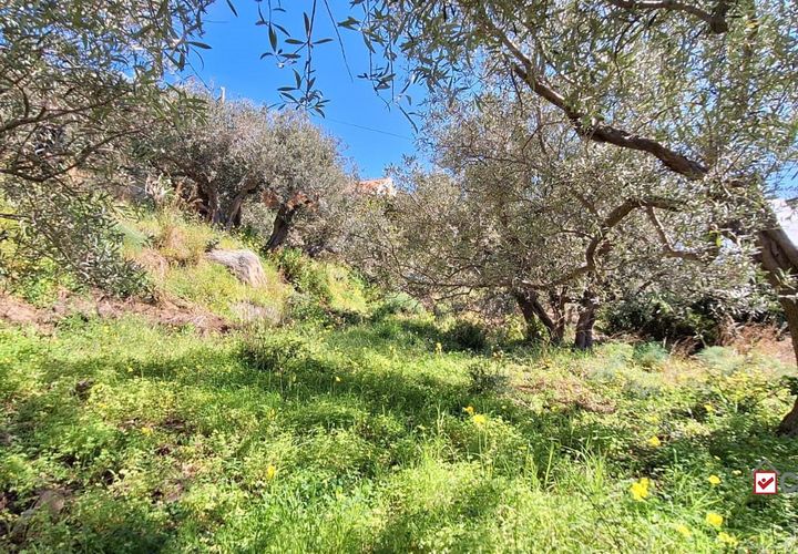 Helårsgrund i Messina, Messina, Messina - € 8.300 | Ref: Vsp337 - foto 1
