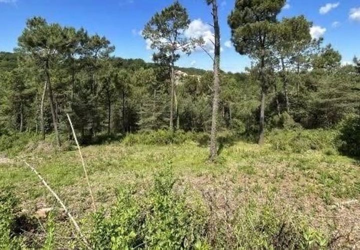 Terra a Coursac, Dordogne, Coursac - € 25.000 | Ref: BOEP32 - foto 1