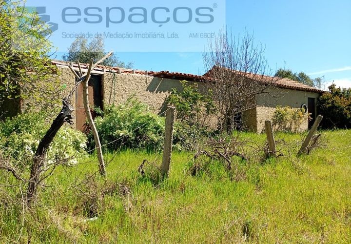 Farm i Castelo Branco, Castelo Branco, Castelo Branco - € 36.150 | Ref: 5734/RR_EM - foto 1