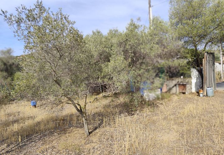 Terra a Monserrato, Cagliari, Monserrato - € 60.000 | Ref: VF137 - foto 1