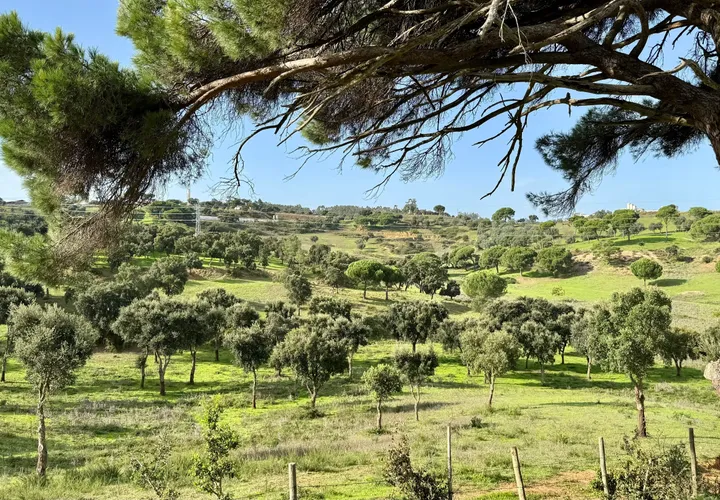 Helårsgrund i Azambuja, Lisbon, Azambuja - € 150.000 | Ref: C0409-01418 - foto 1